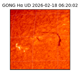 gong - 2026-02-18T06:20:02