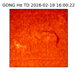 gong - 2026-02-18T16:00:22