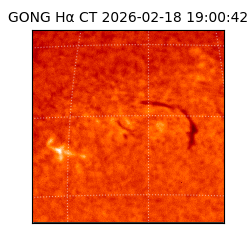 gong - 2026-02-18T19:00:42
