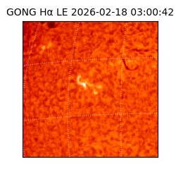 gong - 2026-02-18T03:00:42