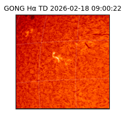 gong - 2026-02-18T09:00:22
