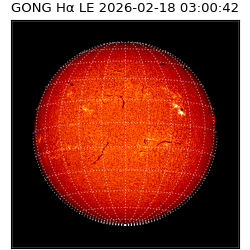 gong - 2026-02-18T03:00:42