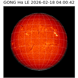gong - 2026-02-18T04:00:42
