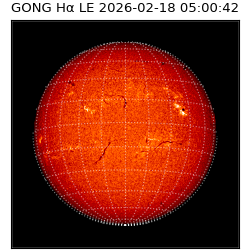 gong - 2026-02-18T05:00:42