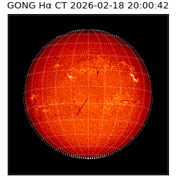 gong - 2026-02-18T20:00:42