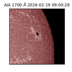 saia - 2026-02-19T09:00:28.717000