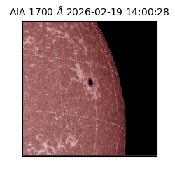 saia - 2026-02-19T14:00:28.717000