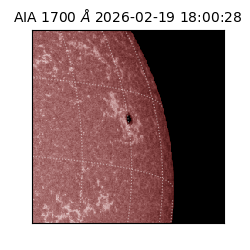 saia - 2026-02-19T18:00:28.717000