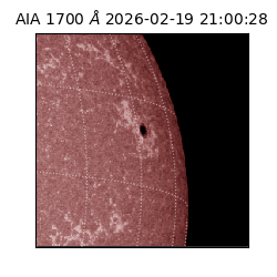 saia - 2026-02-19T21:00:28.713000