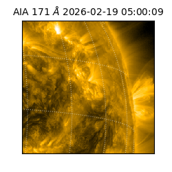 saia - 2026-02-19T05:00:09.353000