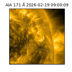 saia - 2026-02-19T09:00:09.353000
