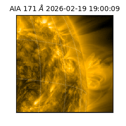 saia - 2026-02-19T19:00:09.353000