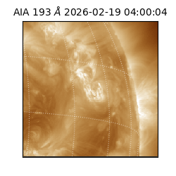 saia - 2026-02-19T04:00:04.843000