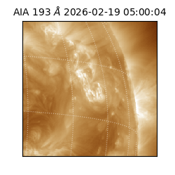 saia - 2026-02-19T05:00:04.843000