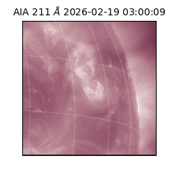 saia - 2026-02-19T03:00:09.626000