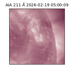 saia - 2026-02-19T05:00:09.626000