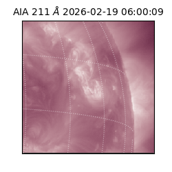 saia - 2026-02-19T06:00:09.626000