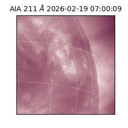 saia - 2026-02-19T07:00:09.633000