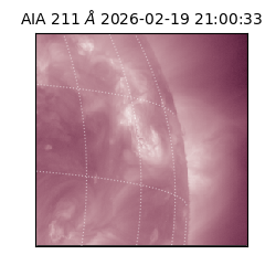 saia - 2026-02-19T21:00:33.619000