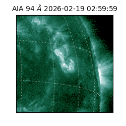 saia - 2026-02-19T02:59:59.115000