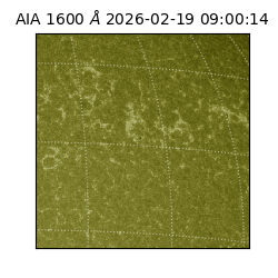 saia - 2026-02-19T09:00:14.125000
