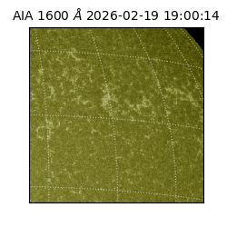 saia - 2026-02-19T19:00:14.125000