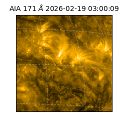 saia - 2026-02-19T03:00:09.350000