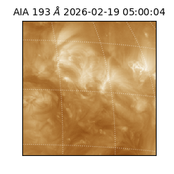saia - 2026-02-19T05:00:04.843000