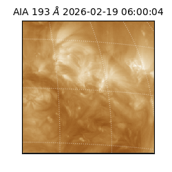 saia - 2026-02-19T06:00:04.835000