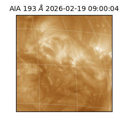 saia - 2026-02-19T09:00:04.843000