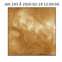 saia - 2026-02-19T12:00:04.835000