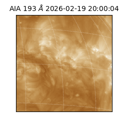 saia - 2026-02-19T20:00:04.843000