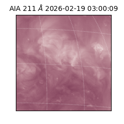 saia - 2026-02-19T03:00:09.626000