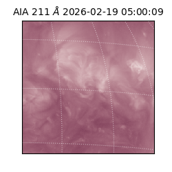 saia - 2026-02-19T05:00:09.626000