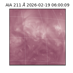 saia - 2026-02-19T06:00:09.626000