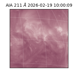 saia - 2026-02-19T10:00:09.632000