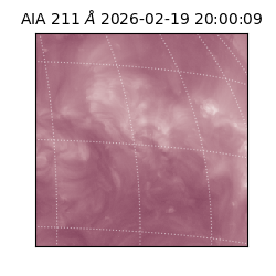 saia - 2026-02-19T20:00:09.631000