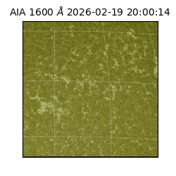 saia - 2026-02-19T20:00:14.126000
