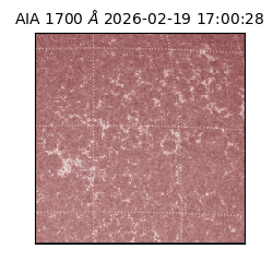saia - 2026-02-19T17:00:28.717000
