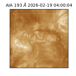 saia - 2026-02-19T04:00:04.843000