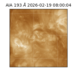 saia - 2026-02-19T08:00:04.842000