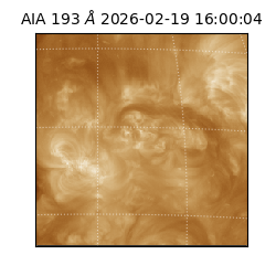saia - 2026-02-19T16:00:04.843000