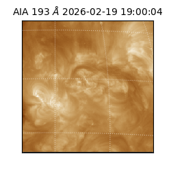 saia - 2026-02-19T19:00:04.843000