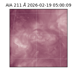 saia - 2026-02-19T05:00:09.626000