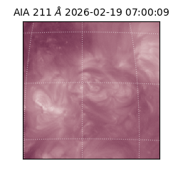 saia - 2026-02-19T07:00:09.633000