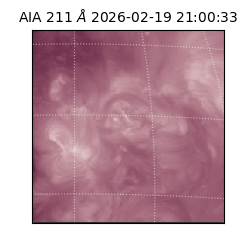 saia - 2026-02-19T21:00:33.619000