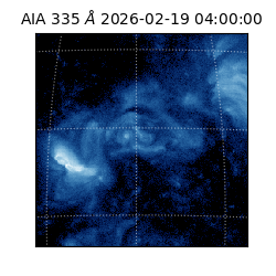 saia - 2026-02-19T04:00:00.631000