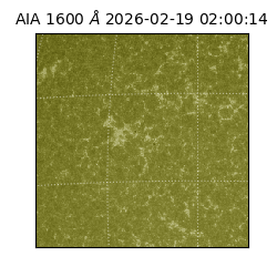 saia - 2026-02-19T02:00:14.125000