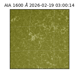 saia - 2026-02-19T03:00:14.126000