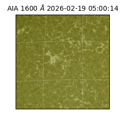 saia - 2026-02-19T05:00:14.129000